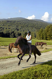 USA-Vermont-Vermont Country Inn Ride - Sugarbush